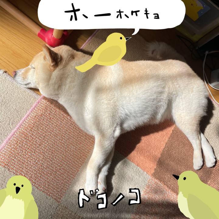 Dc15e504 eabf 44be 9e17 c70c259f25cb 1711024554949