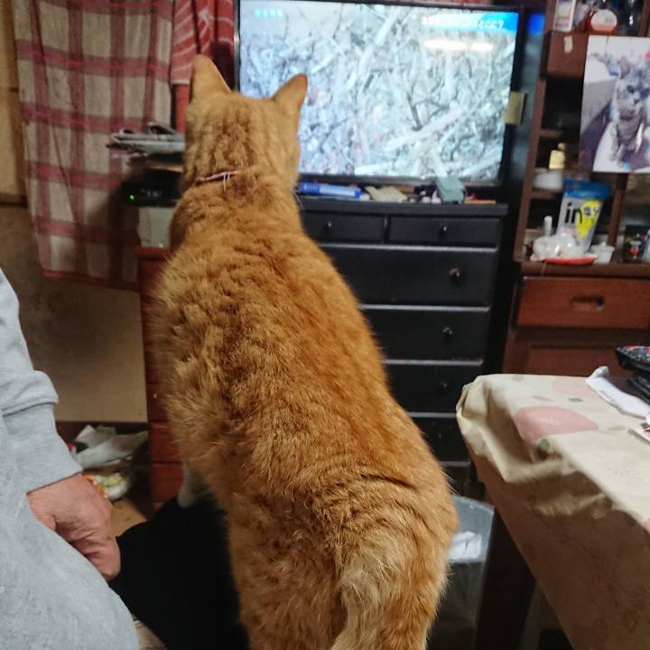 Dc15fd12 859d 4ca3 a81a a05225f74834 1606555666050