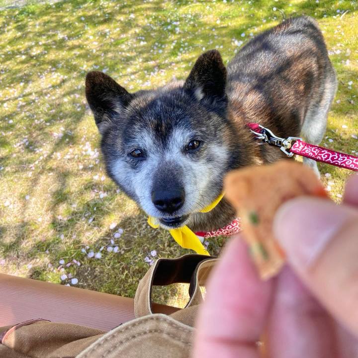 Dc160a75 29c6 4b98 aa07 975161c6698a 1713679254159