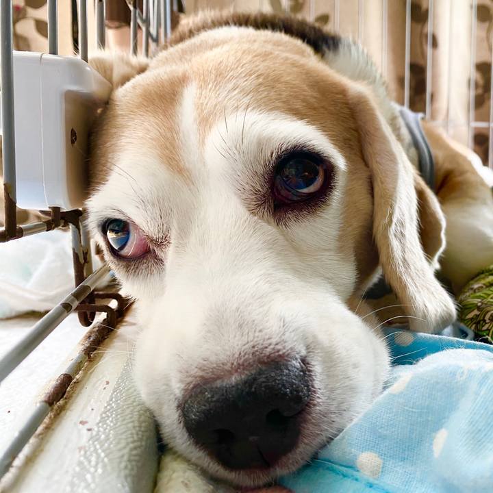 Dc1618ca b2b1 4cd3 806d 5b1bc578579d 1600236308905