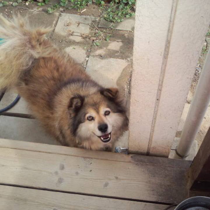 Dc166c36 d084 4928 b95a 7e898bd3ab13 1557913325516