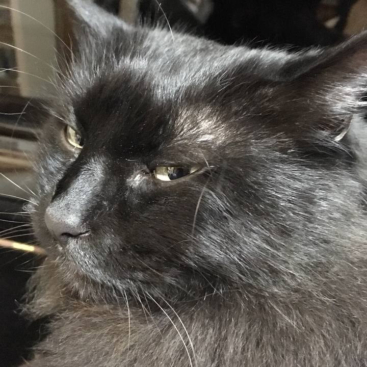 Dc16777c 94a0 4e94 a989 264b9b9d8114 1548907681723