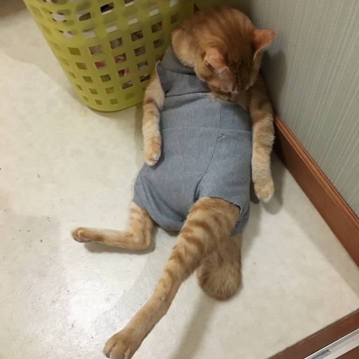 Dc168850 f5df 46c0 8aa4 4778f0460996 1525259558044