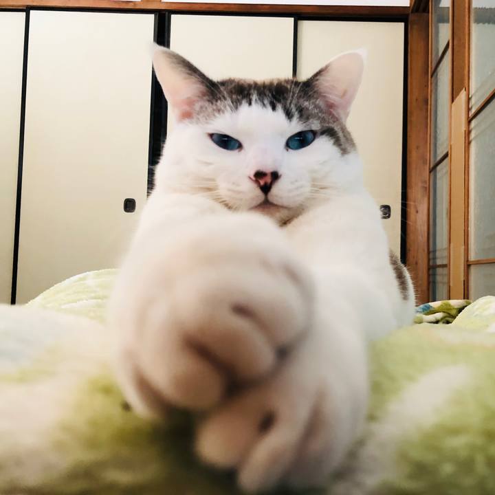 Dc16e0e2 d8b7 4ddb 8faf 39f05a346314 1582878026349