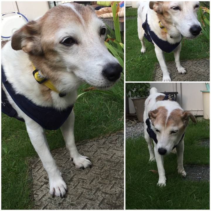 Dc17027f ac0d 41ba b630 fc00812ed385 1537225516938