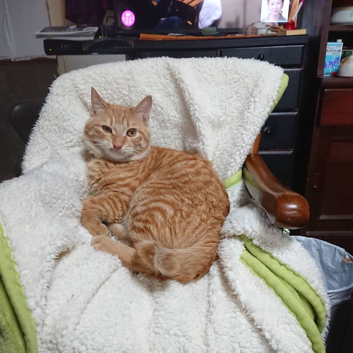 Dc1714e4 928b 47e5 9057 f5d002fbdc1f 1637274291658