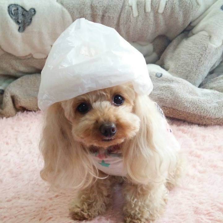 Dc1735ee c95c 488a 994a 5f11d1d0789f 1523360579520