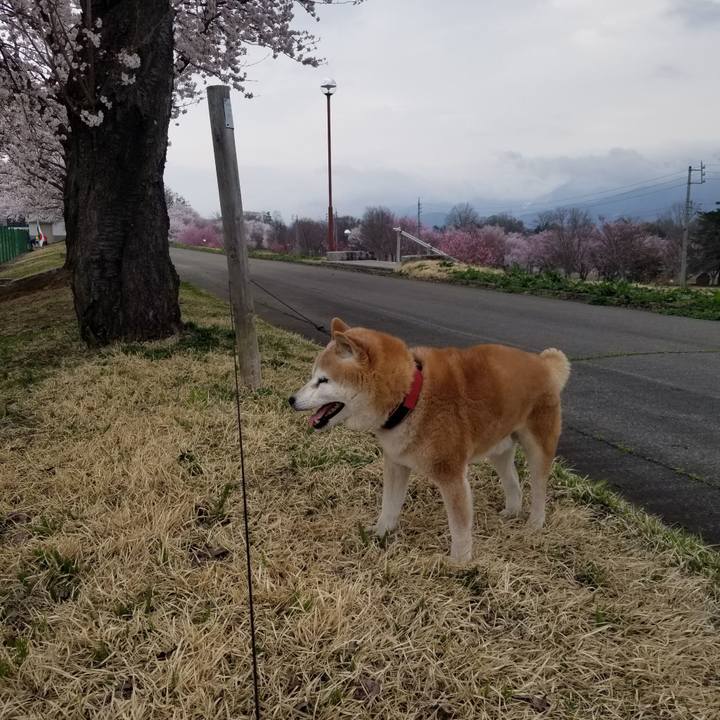 Dc1753d5 9db2 491b b3db fd24e5a609af 1745138188427