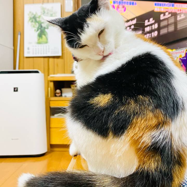 Dc17979a 01c5 461c 8fa7 415ccd1877de 1687523416047