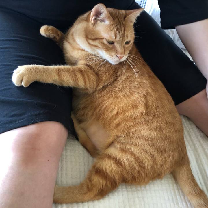 Dc17ec33 9525 4326 a279 a749fd2105f8 1623556140603