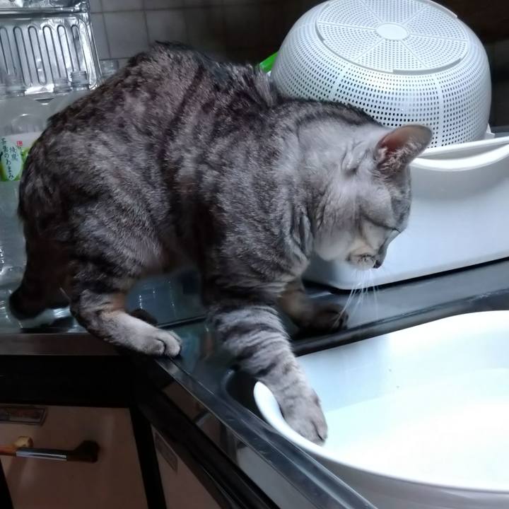 Dc17f342 bc7a 4084 ba78 af8dc1007bda 1685376167519