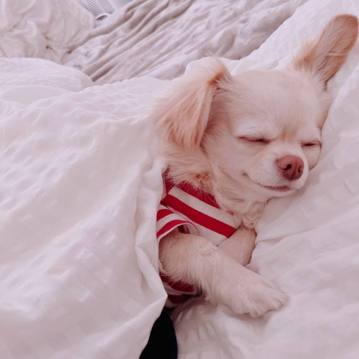 Dc186620 d51f 4137 9e57 66813c2a4398 1679286573973