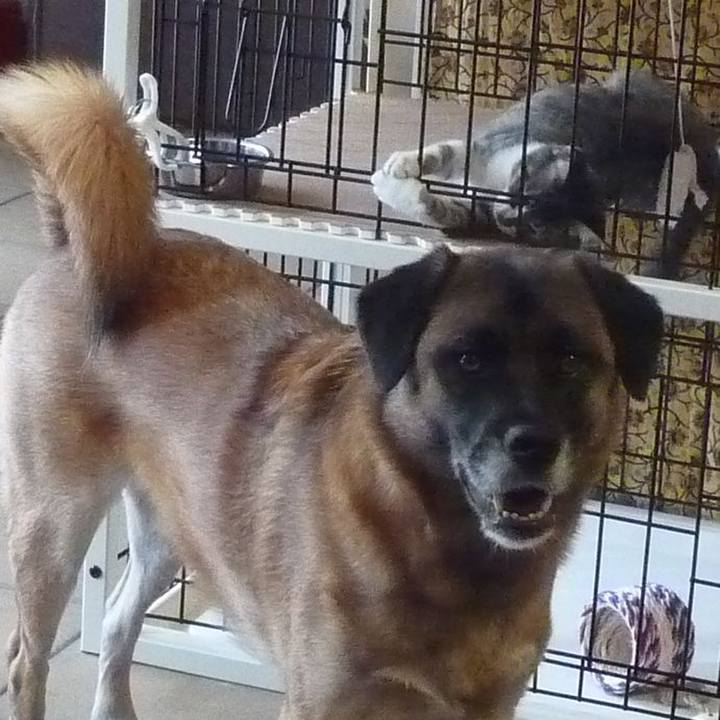 Dc1866fc 9331 4350 901a 2596c6a3a779 1577086477477