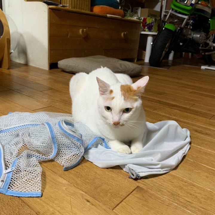 Dc1892a6 7e8f 40dd a056 3e9a175ca3a9 1662297466843