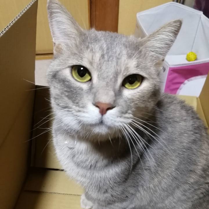 Dc18c8c9 f512 495c 8598 2c402e19f16a 1532436523158