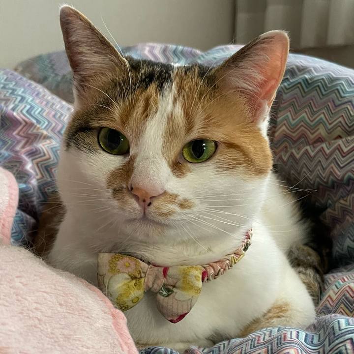 Dc18e567 914e 4409 add7 e068e88746b3 1648256995986