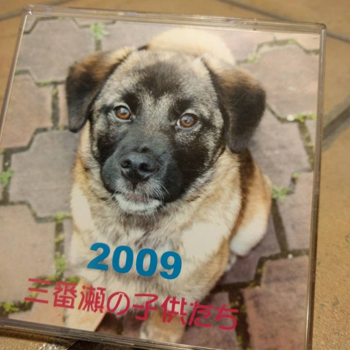 Dc18f6bc 3dc8 40f6 a7b3 a5d354ed63eb 1511941736153