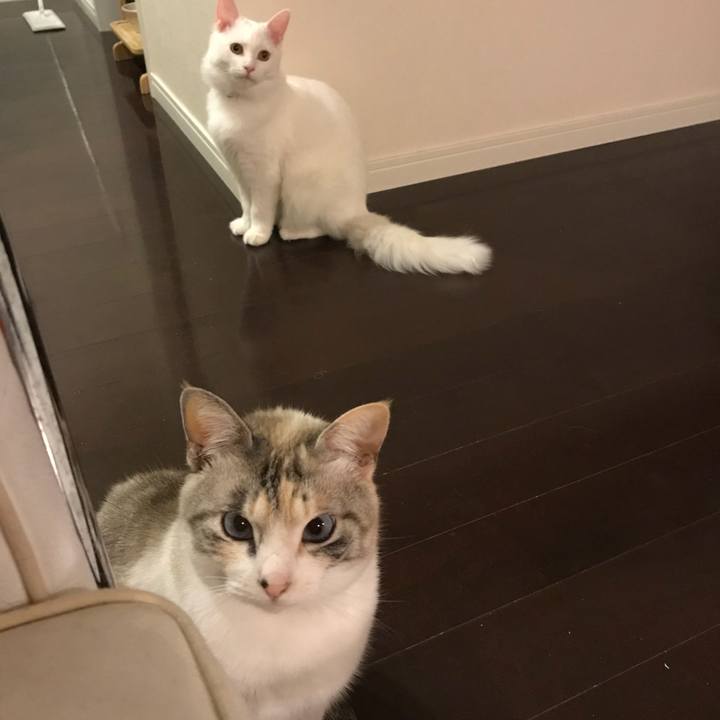 Dc191cec d705 4b89 95a8 c3aea731a254 1518266487347