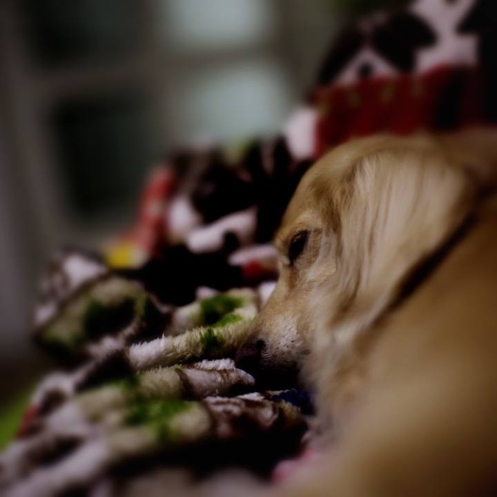 Dc197c66 4249 4ecc 9bc2 42f076df4490 1509371729698