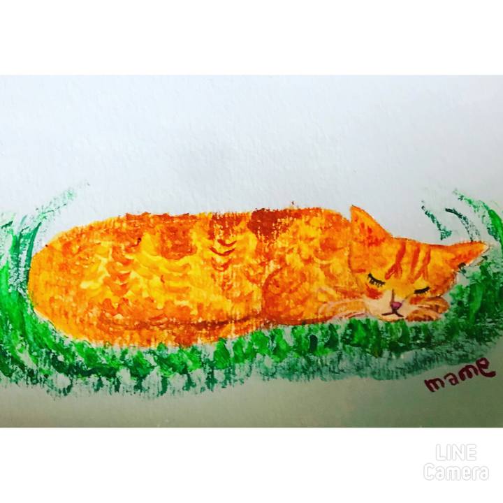 Dc19a37e d12f 4f05 8add 9c4bbdc04500 1649852613992