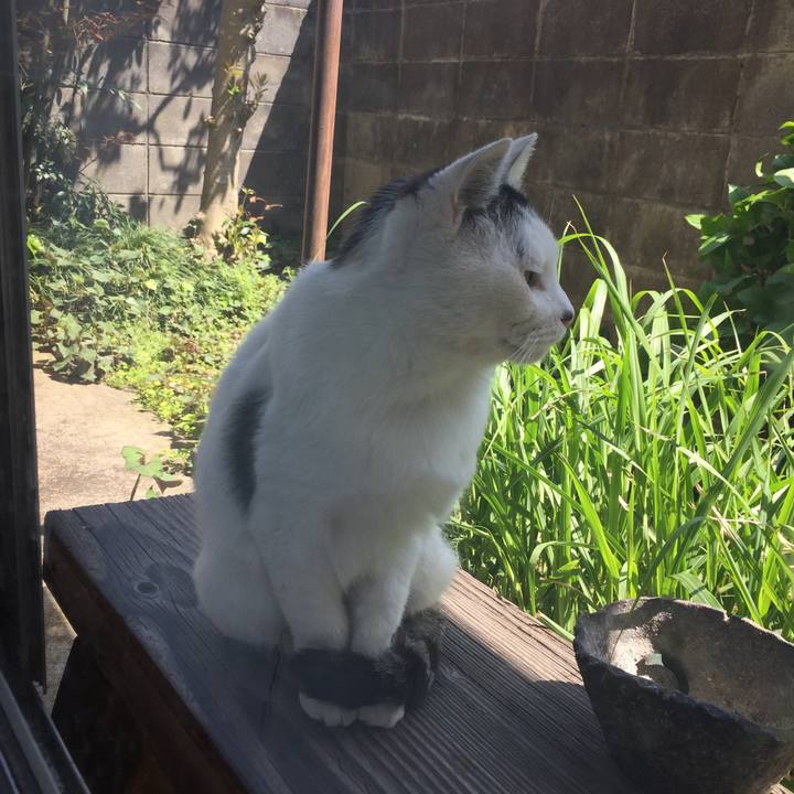 Dc19aa88 33f8 4430 9175 6d3b5fb49985 1659952019890