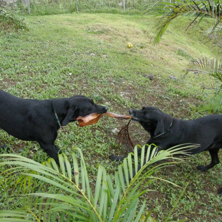 Dc19d094 32c9 4361 988d c3791412fa71 1523875231580