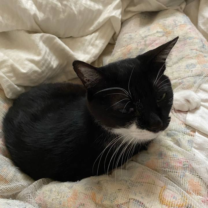 Dc19e377 2490 4f94 9851 1dbc5b8c5b13 1618204661020