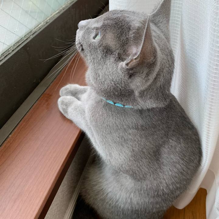 Dc19f036 57fd 4161 9679 945ad71b41be 1577167849877