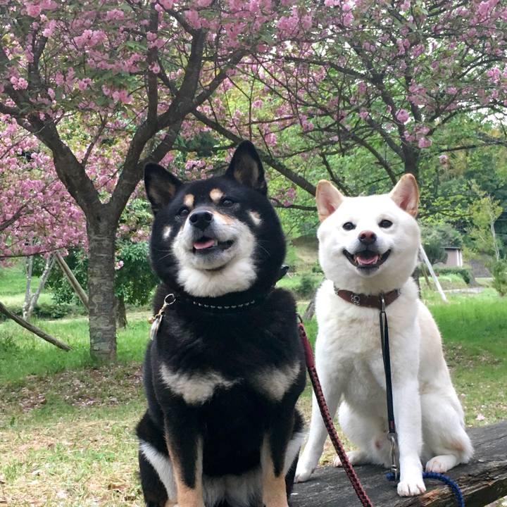 Dc19f54d dfa5 4a7f 9ae5 3e7d4b44c8a0 1556186008166