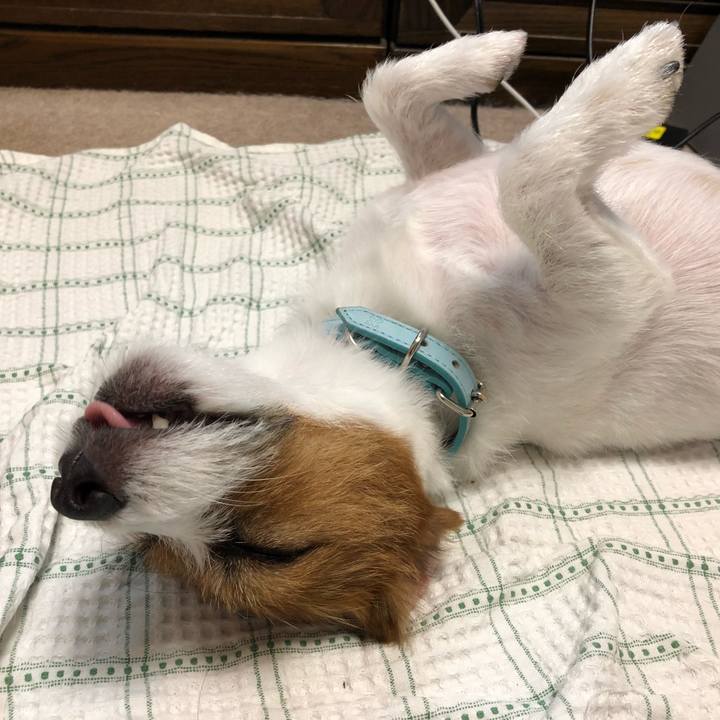 Dc1a0259 2c9d 4b97 b059 cafcf3560067 1532131328549