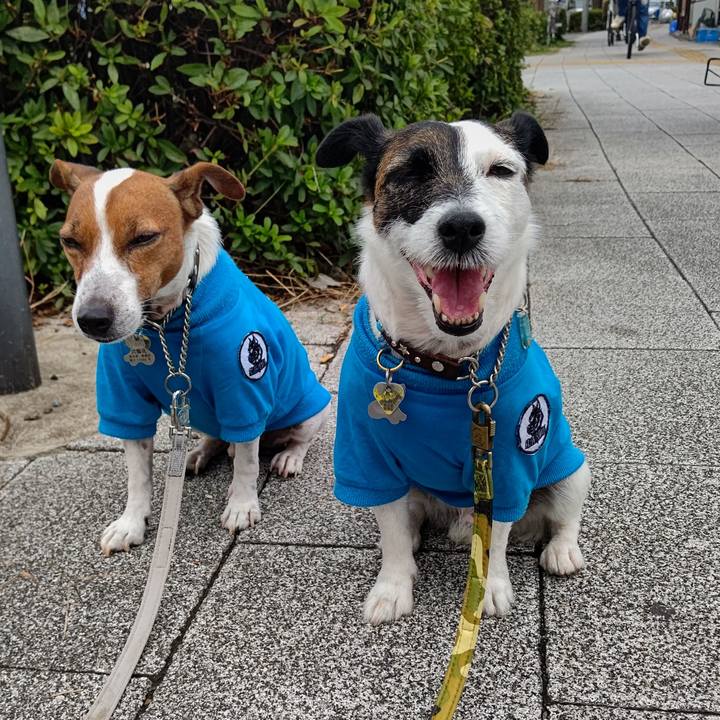 Dc1a1e2b d06c 49bf a956 b597c8f61390 1665798576528