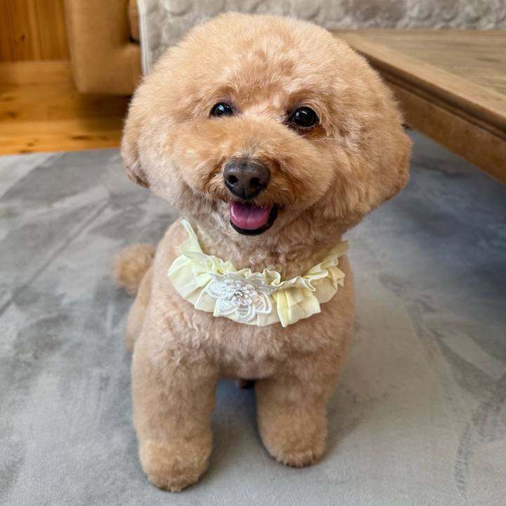 Dc1a7819 ed35 491d acb5 58897631c736 1763270904022