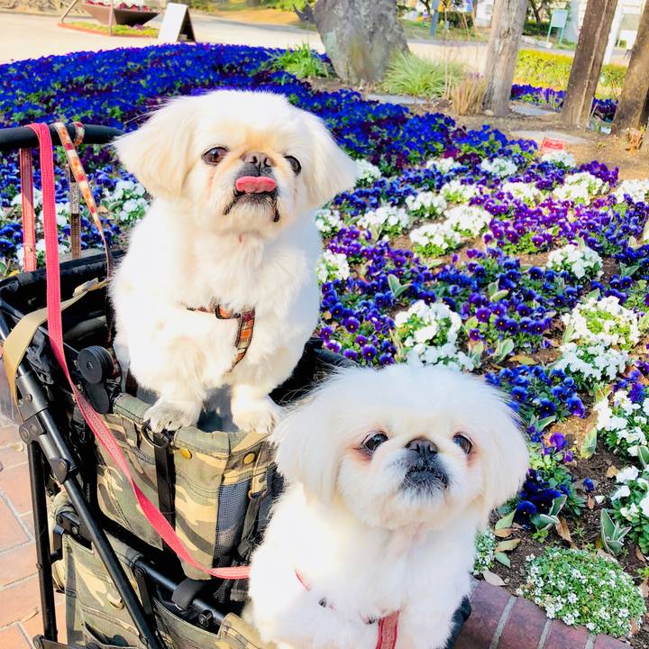 Dc1a8e1f 552a 4c51 a570 976a834f6694 1584530441727