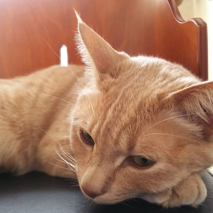 Dc1a9205 fcc6 4846 a541 27074acf24b3 1583653076994