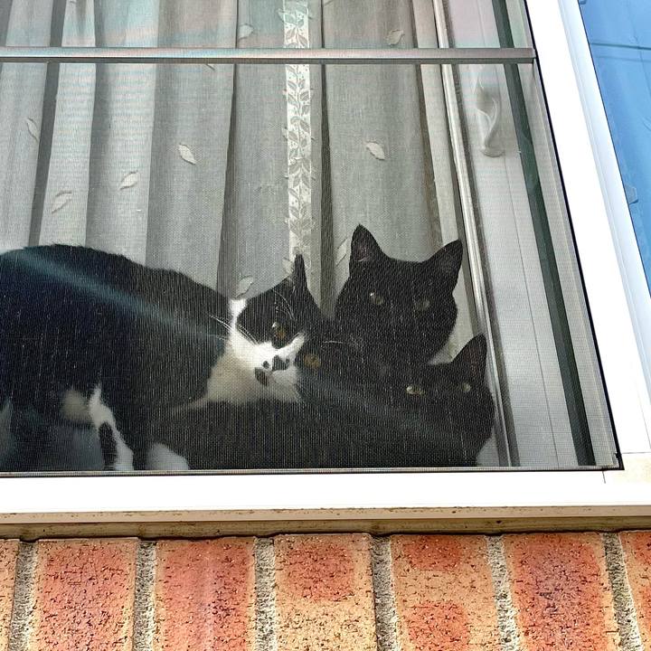 Dc1abafa c820 453e 9550 4010e212800f 1647518736212