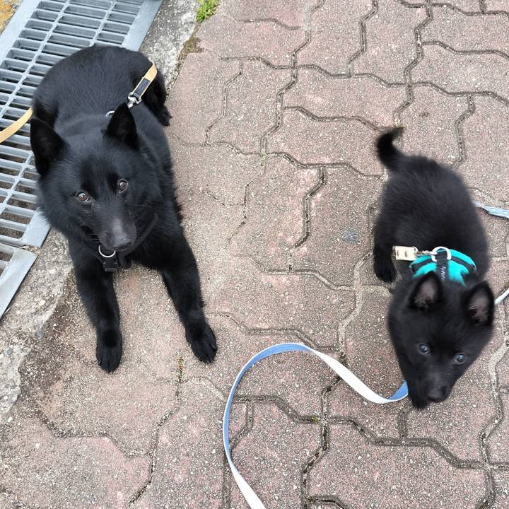 Dc1acd07 4828 4fb5 8dfd a10a67ee4e56 1748473674720