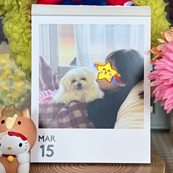 Dc1ace83 b566 4081 a054 1c397624ac4e 1773541134373