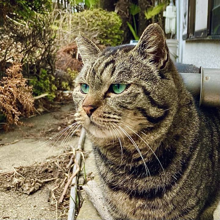 Dc1adc41 628b 49cd 9312 f6f001e575b0 1647505980432