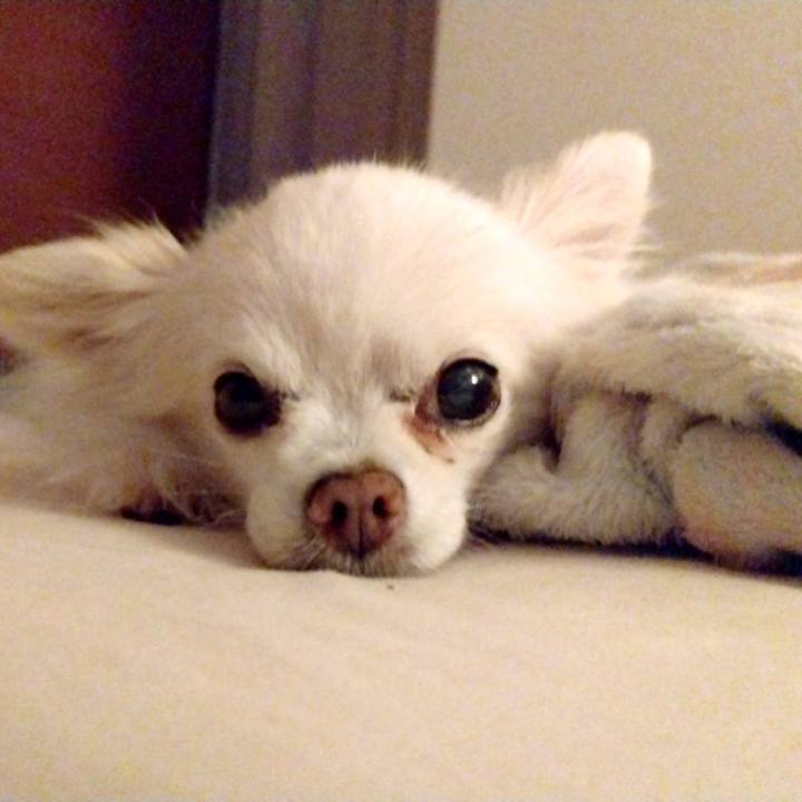 Dc1adfc0 42f9 4f69 9311 eeb88390b3db 1686566968663