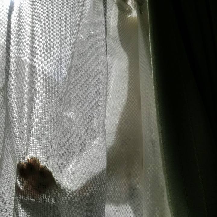 Dc1b0734 6f68 46cb 902d d9243d629a66 1771544154062