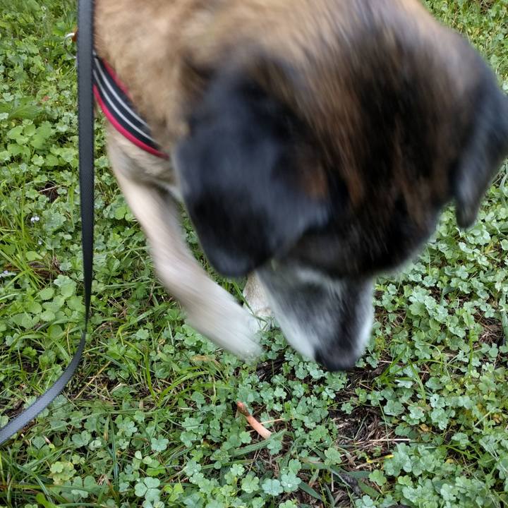 Dc1b221b 9f34 45e2 bcb4 c0fe738cce02 1508290036948