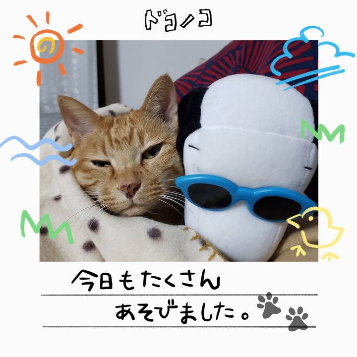 Dc1b360e 09be 4f8e 9d39 cb2a63bb6849 1755321013034