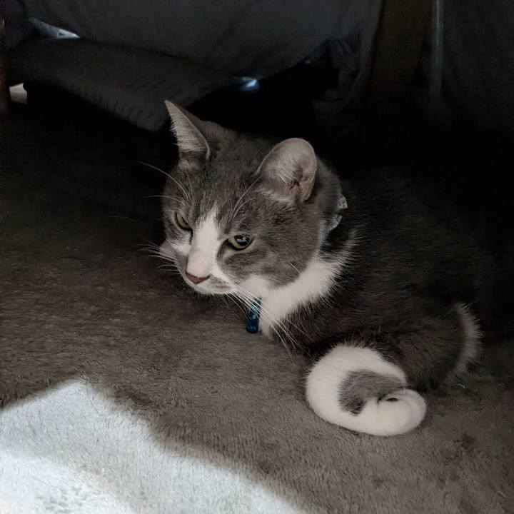 Dc1b3dd7 ceff 4930 9adb d5506852bd85 1767753568250