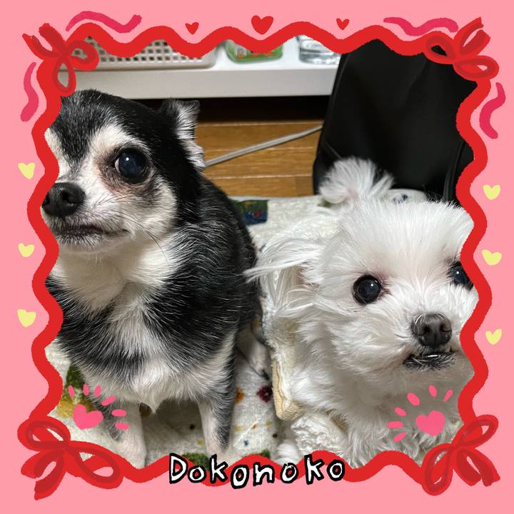 Dc1b450f 7e75 4857 a82b 6a793a0ac8eb 1706758354589