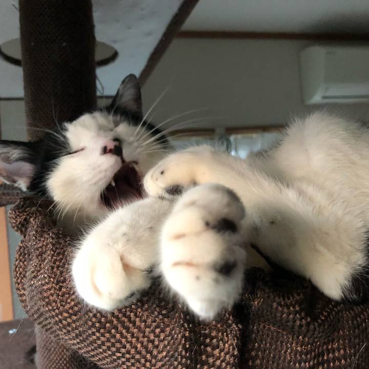 Dc1b4bcb 0f9b 42c6 b945 a5ba32bfd613 1554627772928