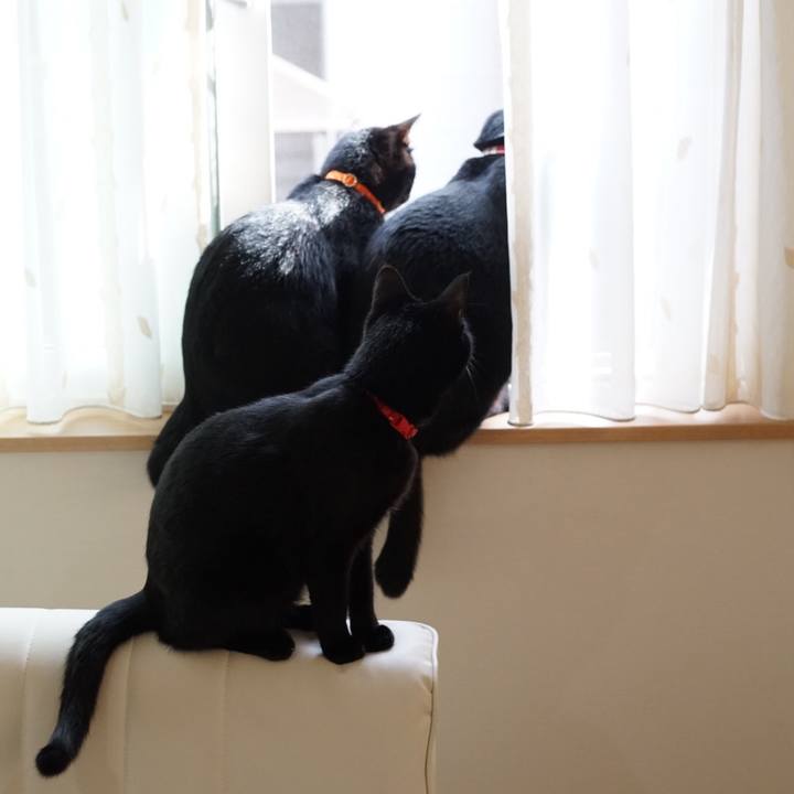 Dc1b5697 b08a 42dc a6aa 8062462a813c 1524095267917