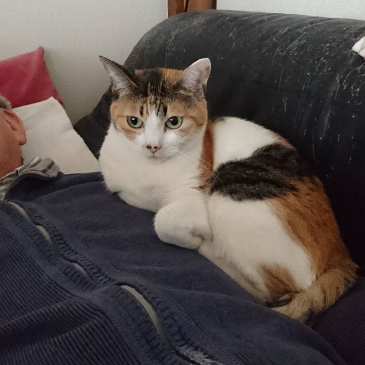 Dc1b6ef8 40d0 443d 9b33 ebf56cbbccac 1526463563237