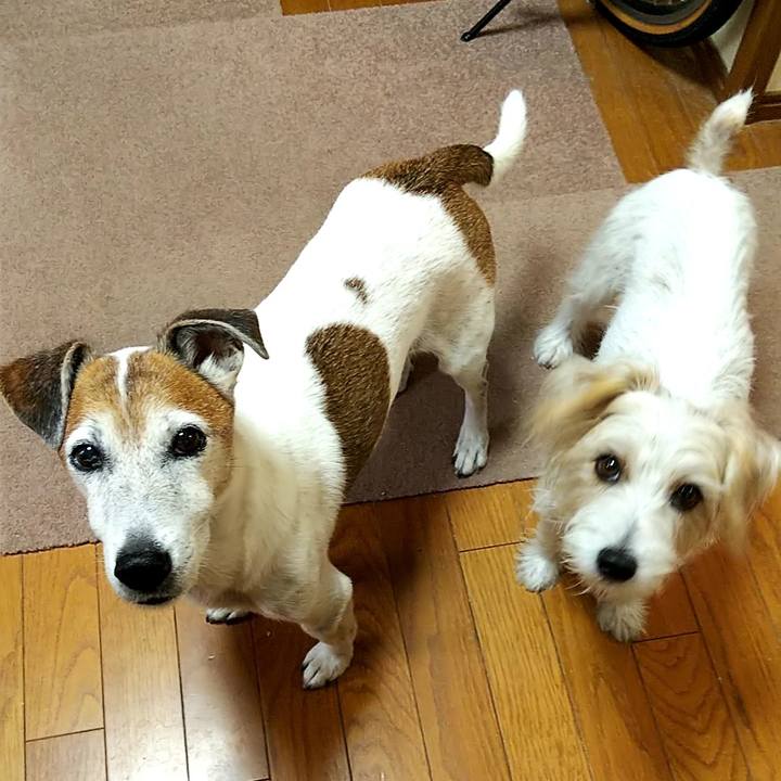 Dc1bae26 7ca9 4bea bece 2f6835fcdbd3 1539561704719