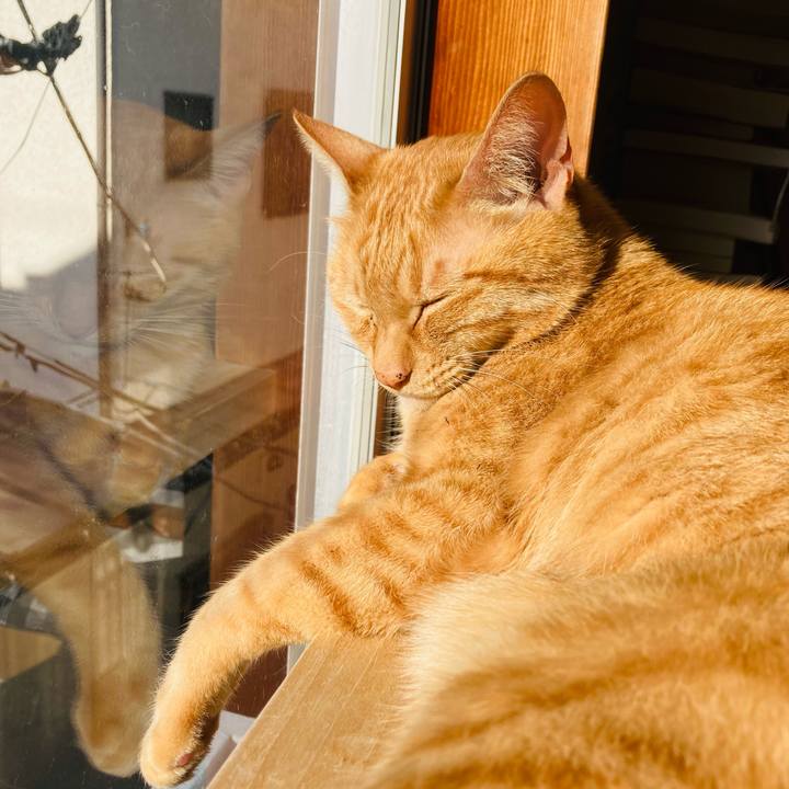 Dc1bc3b8 bf5c 4f89 ac5c 9ba24483bac0 1667084956340