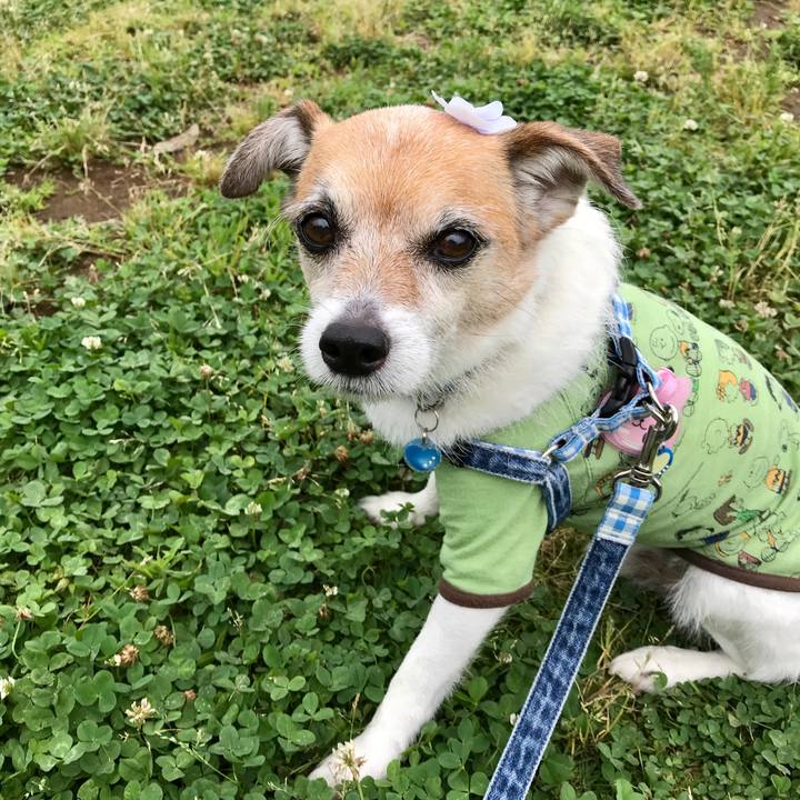 Dc1be486 ea4e 49a8 b9c7 696b7a7a4330 1622942143241